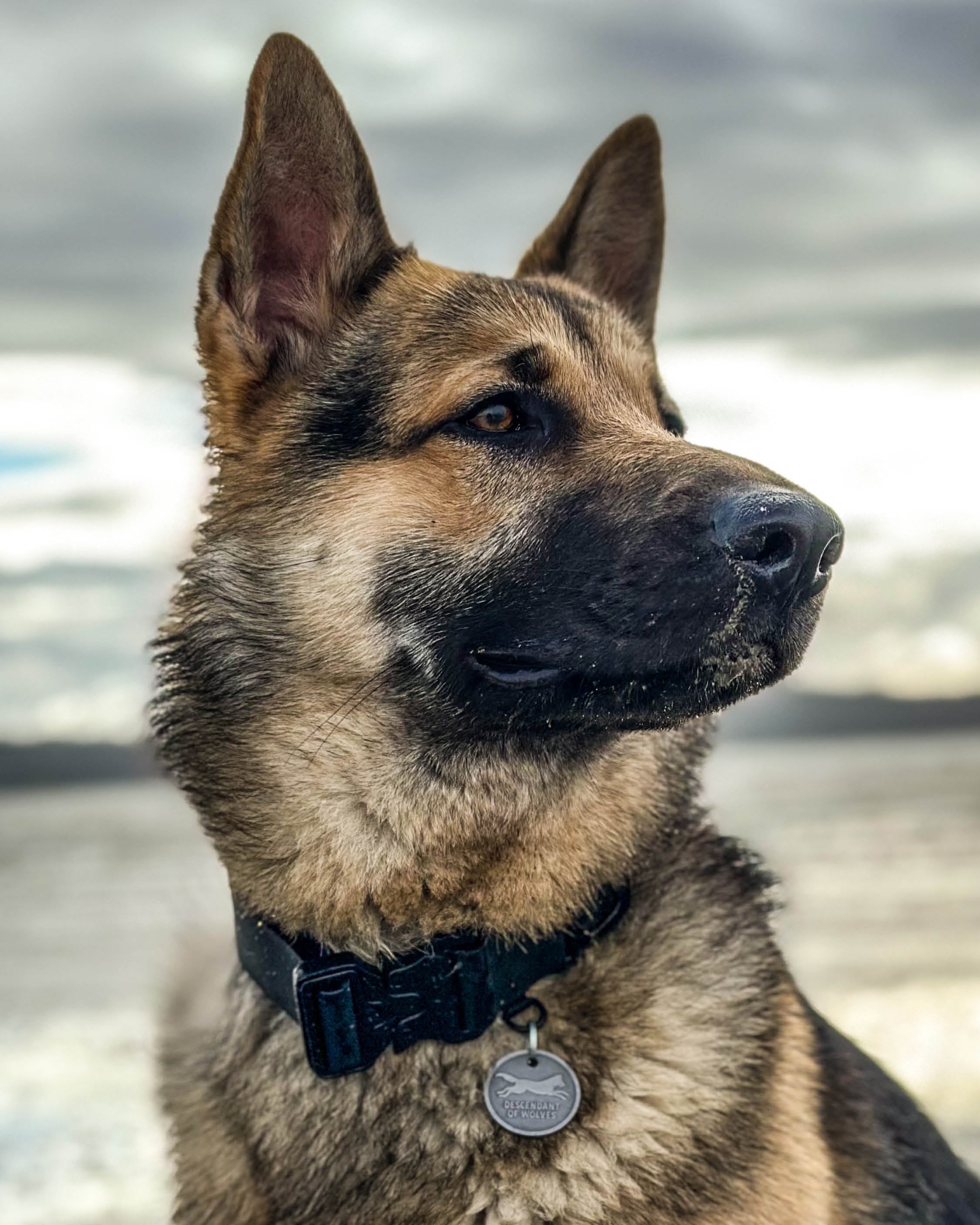 Tactical PVC 38mm Collar