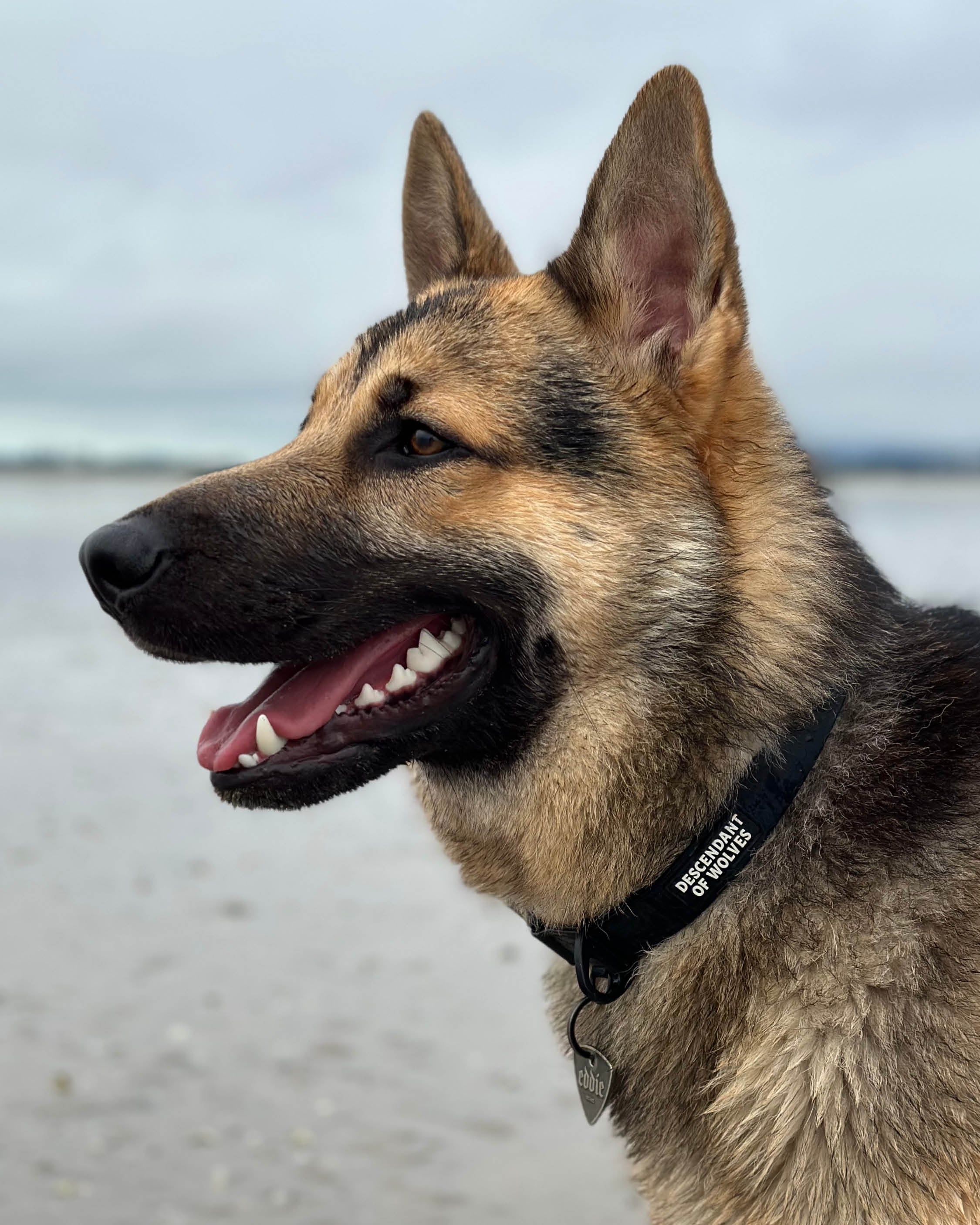 Tactical PVC 25mm Collar