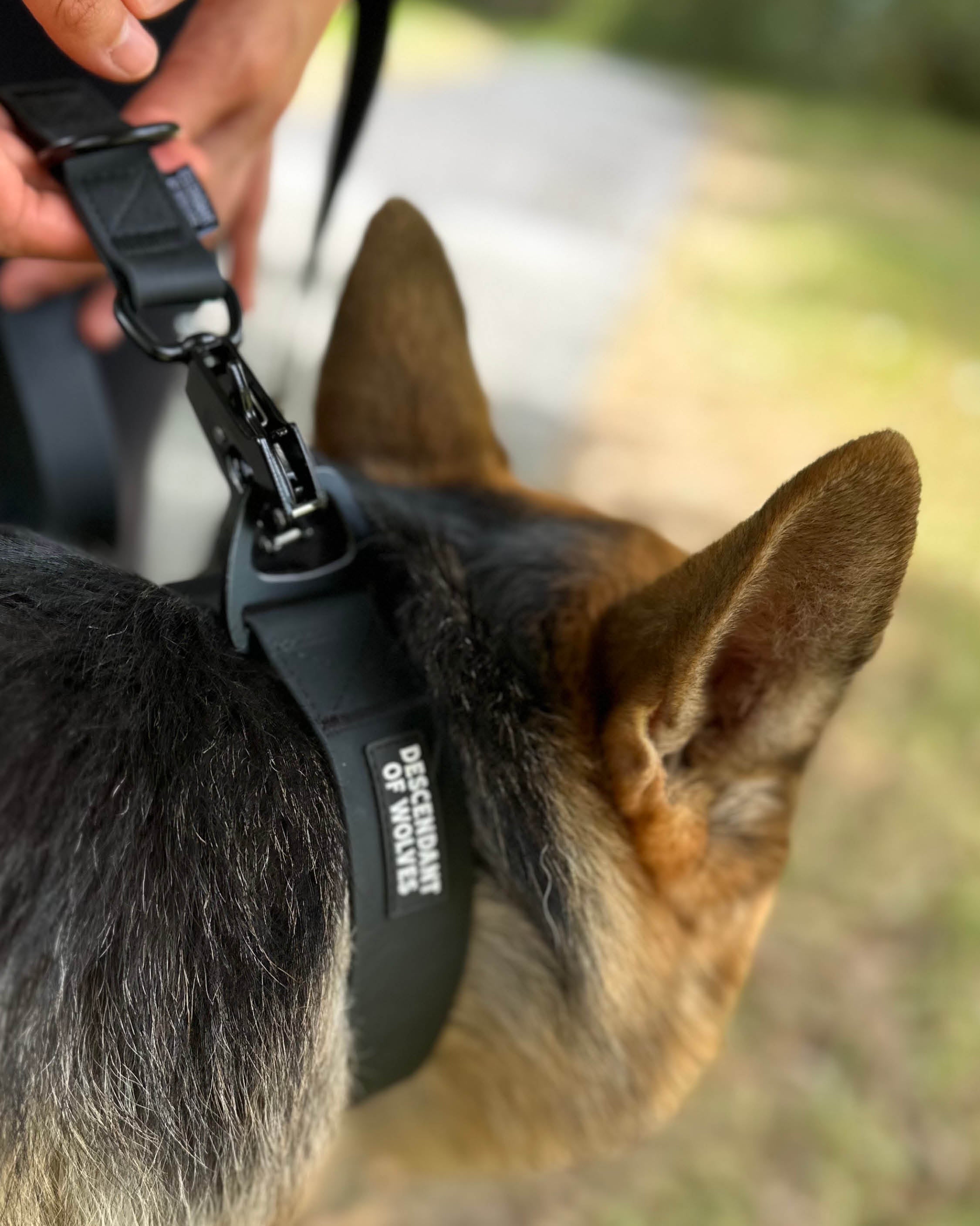 Tactical PVC Control Lead
