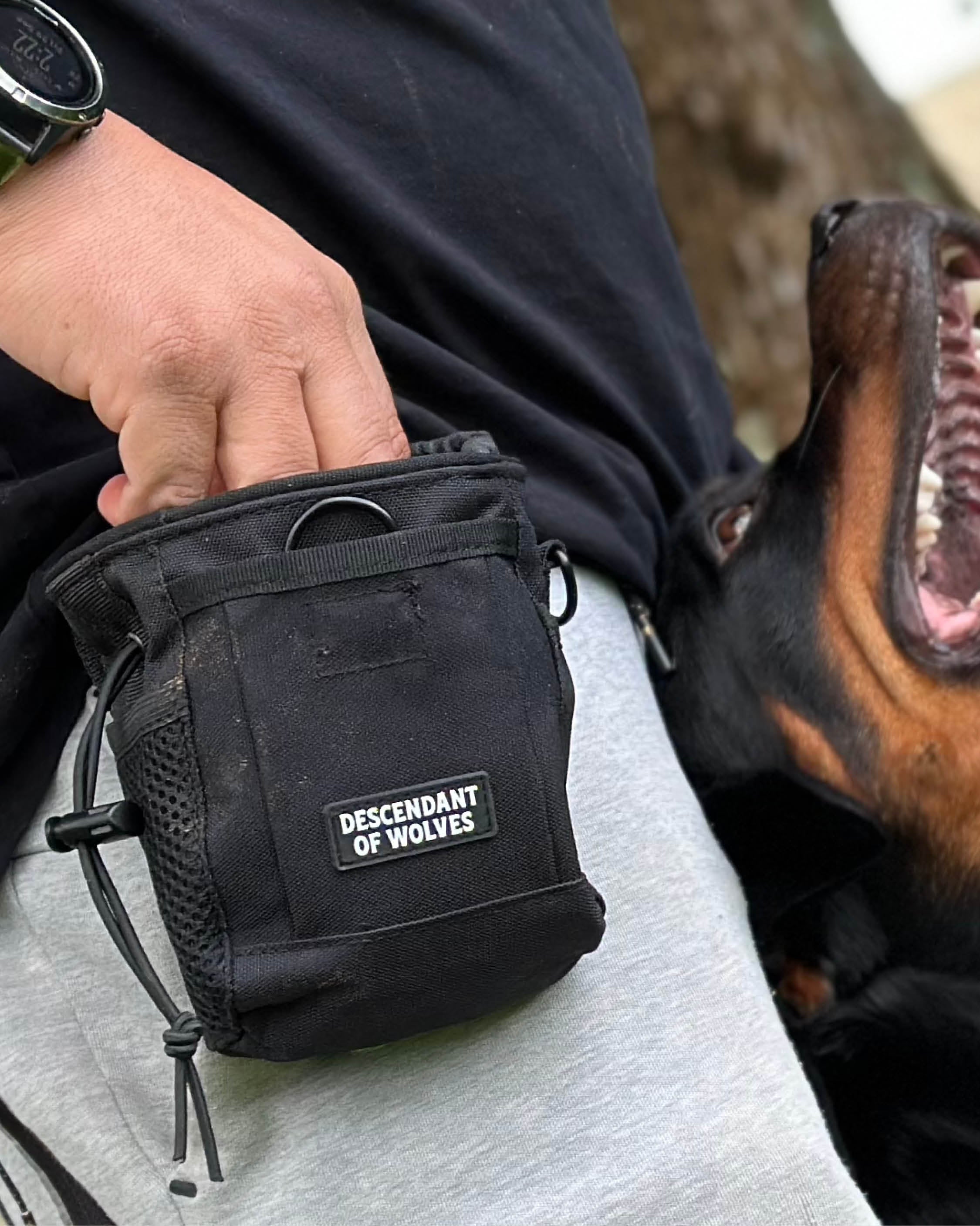 WL Tactical Reward Pouch