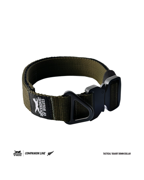CL Tactical 'Guard' 38mm Collar