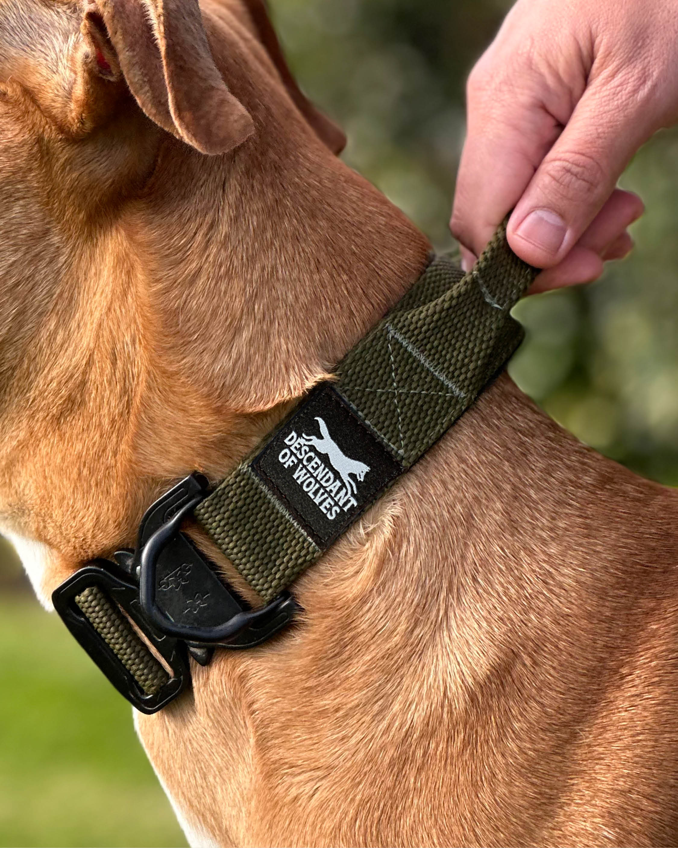 CL Tactical 'Control' 38mm Collar