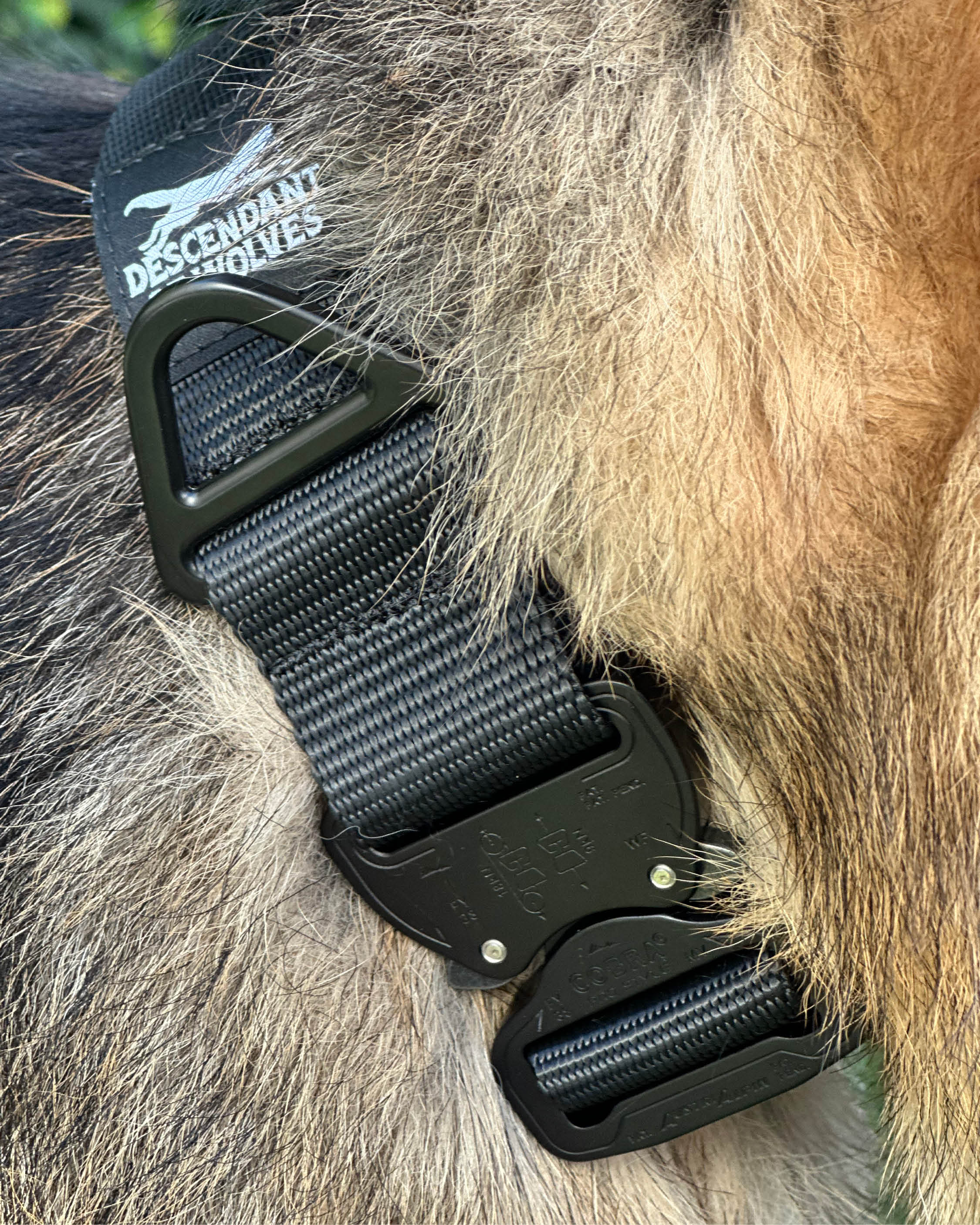 WL Tactical 'Guard' 38mm Collar