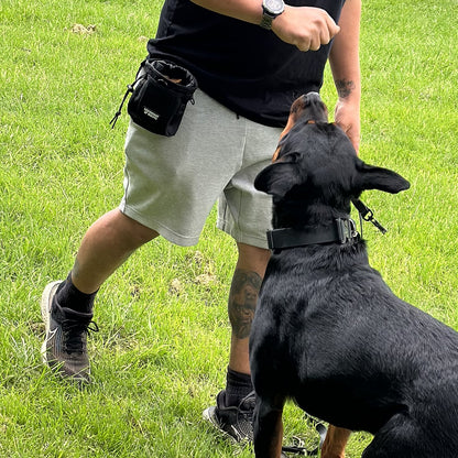 tzctical dog training reward pouch NZ